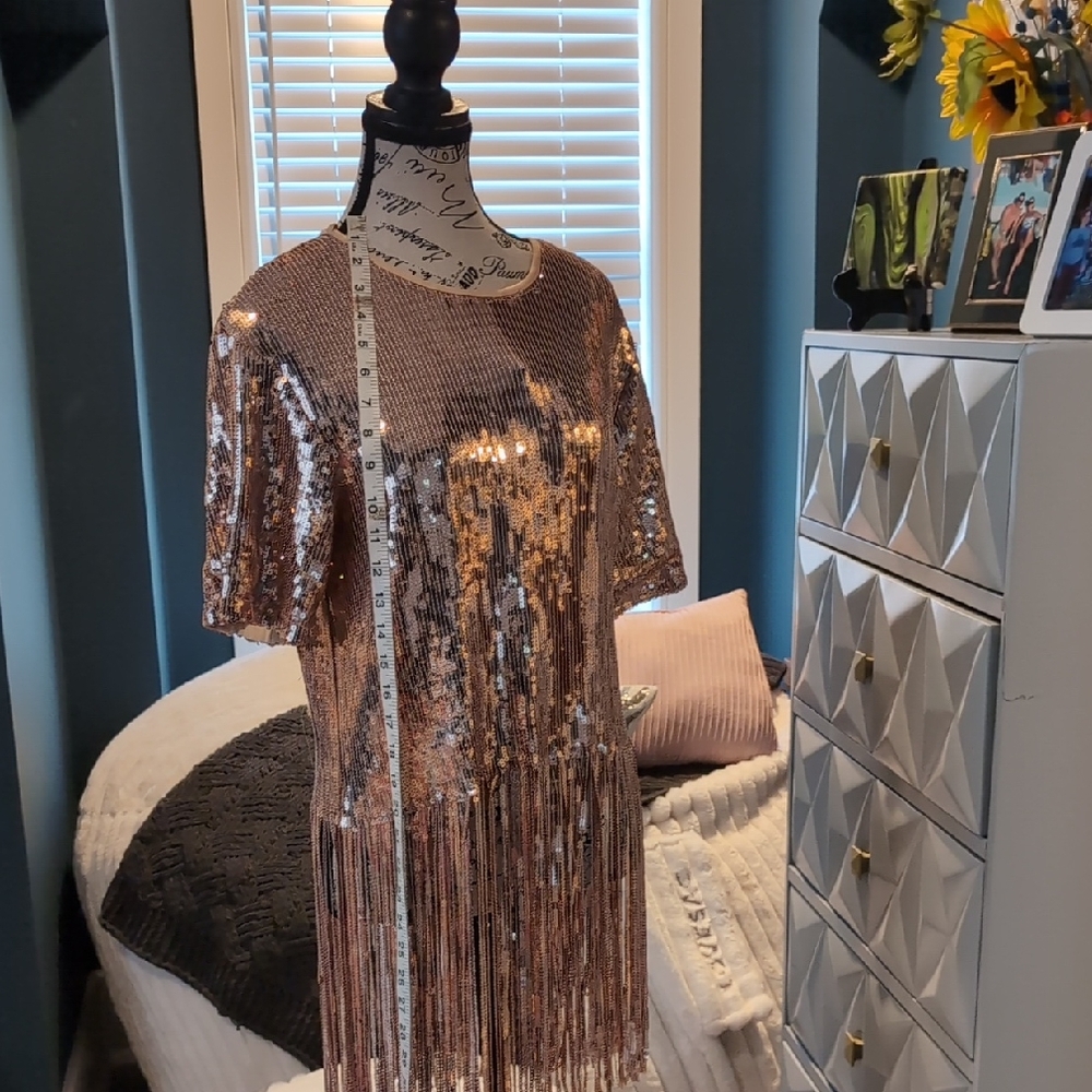 Sequin Fringe Dress
